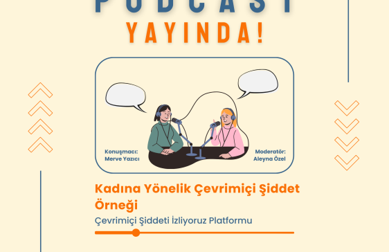 Kadına Yönelik Çevrimiçi Şiddet Örneği